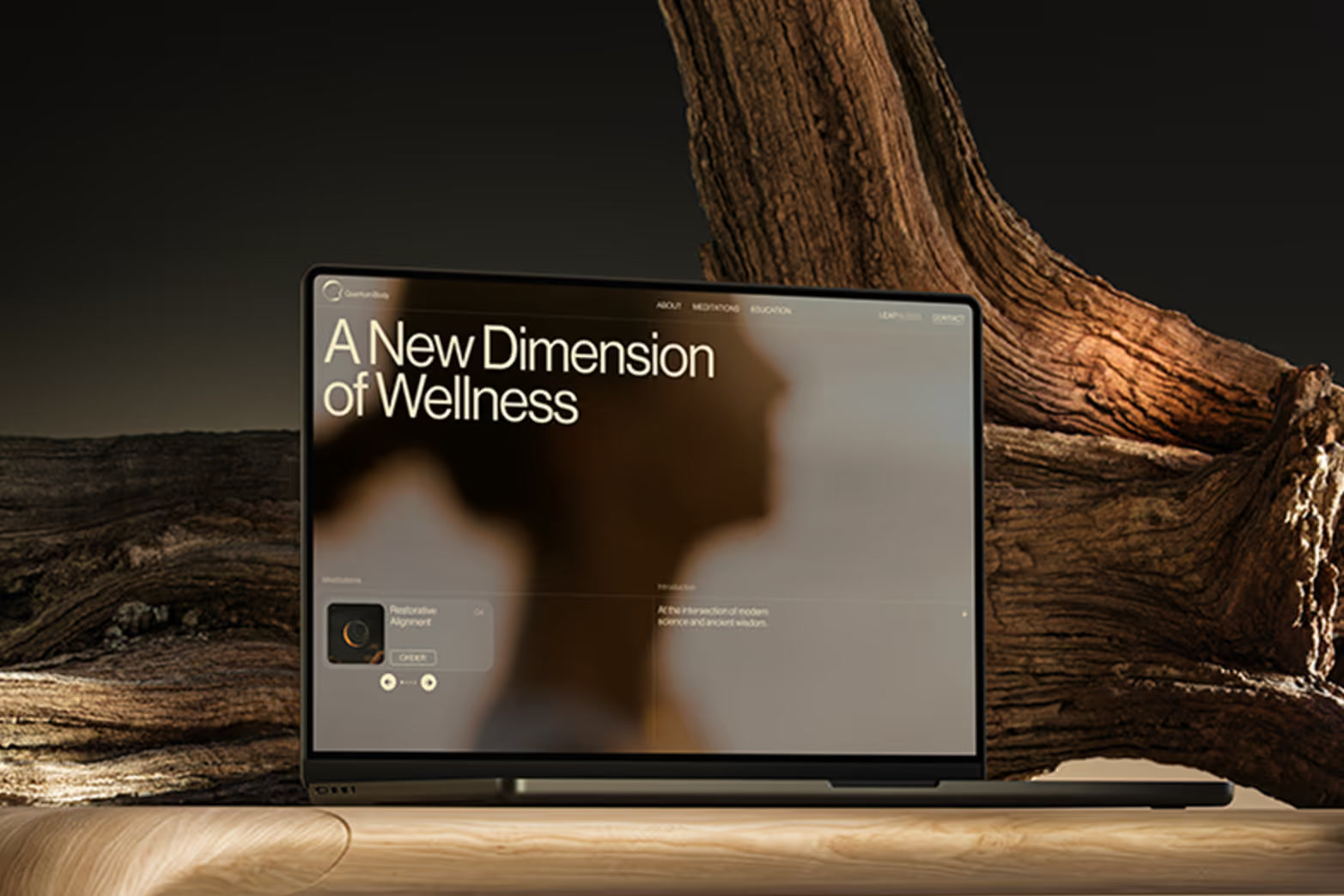 Miscellaneous example: Quantum Body